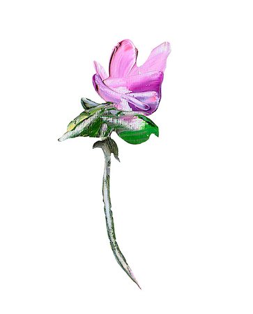 simsearch:400-05688265,k - Hand painted modern style purple flower isolated on white background. Spring flower seasonal nature card. Oil painting Stockbilder - Microstock & Abonnement, Bildnummer: 400-09110570