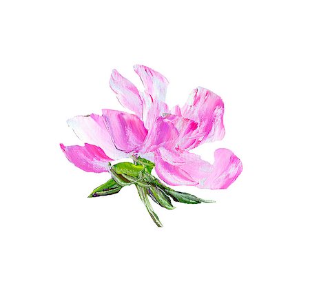 simsearch:400-05688265,k - Hand painted modern style purple flower isolated on white background. Spring flower seasonal nature card. Oil painting Stockbilder - Microstock & Abonnement, Bildnummer: 400-09110571