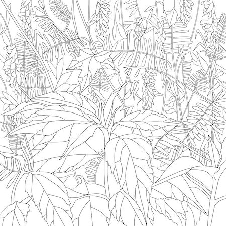 flowers sketch for coloring - Hand drawn zentangle floral background for coloring page Stock Photo - Budget Royalty-Free & Subscription, Code: 400-09112445