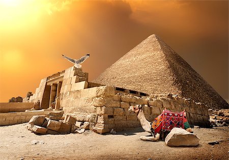 simsearch:400-09222068,k - Camel rests near ruins of entrance to pyramid Stock Photo - Budget Royalty-Free & Subscription, Code: 400-09112534