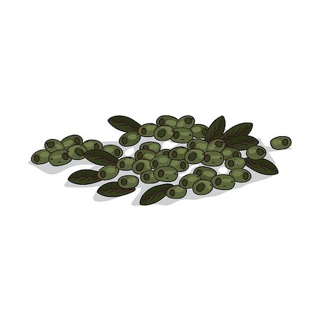 simsearch:400-09096754,k - Isolated clipart of plant Olives on white background. Botanical drawing of herb Olea europaea with fruits and leaves Foto de stock - Super Valor sin royalties y Suscripción, Código: 400-09112634