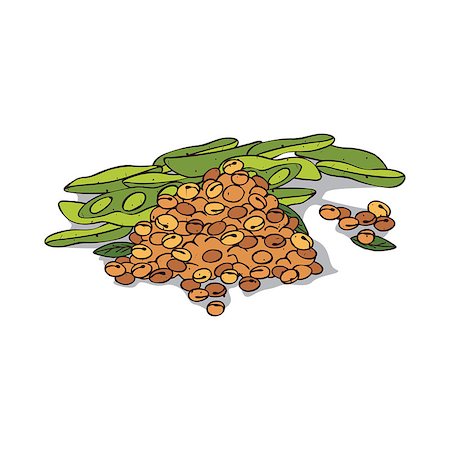 simsearch:400-09096754,k - Isolated clipart of plant Soybean on white background. Botanical drawing of herb Soya beans with beans and leaves Foto de stock - Super Valor sin royalties y Suscripción, Código: 400-09112637
