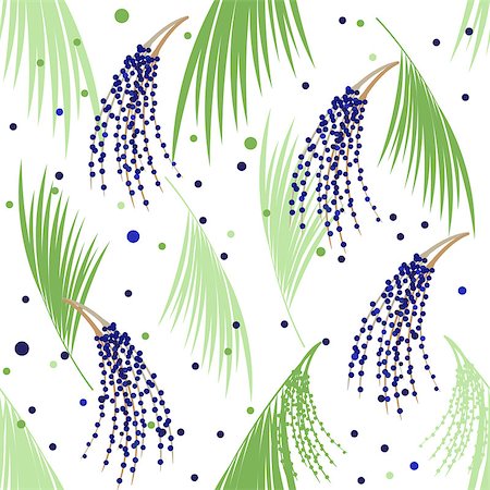 Seamless pattern berries and leaves of Acai palm. Vector illustration Stock Photo - Budget Royalty-Free & Subscription, Code: 400-09113855