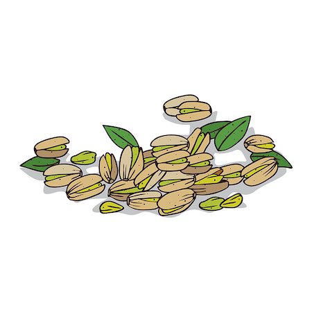 simsearch:400-09096754,k - Isolated clipart of plant Pistachio on white background. Botanical drawing of herb Pistacia vera with seeds and leaves Foto de stock - Super Valor sin royalties y Suscripción, Código: 400-09113930
