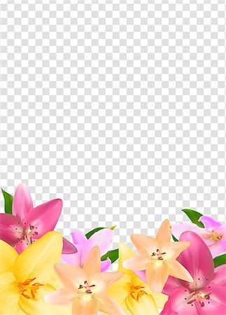 simsearch:400-08530064,k - Summer Natural Floral Frame on Transparent Background Vector Illustration EPS10 Stock Photo - Budget Royalty-Free & Subscription, Code: 400-09120335