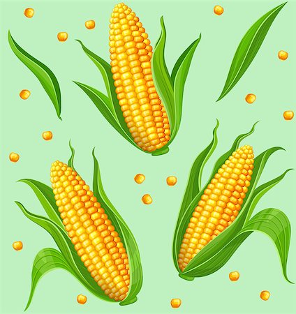 popcorn pattern - Seamless pattern with yellow corncobs and green leaves. Ripe corn vegetables. Vector illustration. Stock Photo - Budget Royalty-Free & Subscription, Code: 400-09120818