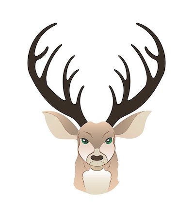 deer antlers close up - Fashion portrait of hipster deer. Reindeer dressed up in coat, furry art character, trand animals, anthropomorphism. Vector illustration for t-shirt print, card, poster, banner Stock Photo - Budget Royalty-Free & Subscription, Code: 400-09121510
