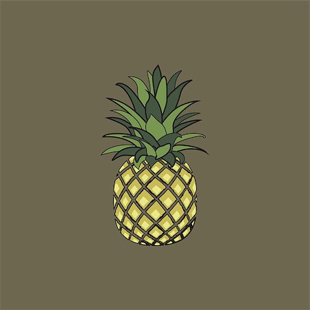 pineapple botanical - Vector illustration of tropical fruit pineapple. Fruit symbol Stock Photo - Budget Royalty-Free & Subscription, Code: 400-09121783