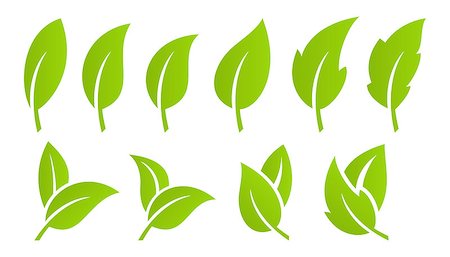 simsearch:400-09121794,k - Eco design element. Set of green leaf Stock Photo - Budget Royalty-Free & Subscription, Code: 400-09121794