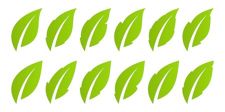 simsearch:400-09121794,k - Eco design element. Set of 2 leaves in different variations Stock Photo - Budget Royalty-Free & Subscription, Code: 400-09123207