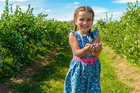 Ripe fresh blueberry in girl hands (Annapolis Valley, Nova Scotia, Canada) Photographie de stock - Aubaine LD & Abonnement, Code: 400-09136216