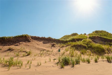 Brackley Beach Sand Dunes (Prince Edward Island, Canada) Stock Photo - Budget Royalty-Free & Subscription, Code: 400-09136455
