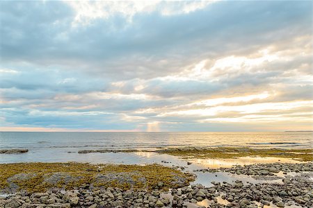 simsearch:400-07818483,k - Northumberland shore near the Confederation Bridge (Prince Edward Island, Canada) Foto de stock - Royalty-Free Super Valor e Assinatura, Número: 400-09136469