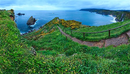 peninsula valdez - Evening Costa de Loiba landscape with flowers and footpath to beach (Asturias, Spain). Four shots stitch high-resolution panorama. Foto de stock - Super Valor sin royalties y Suscripción, Código: 400-09136577