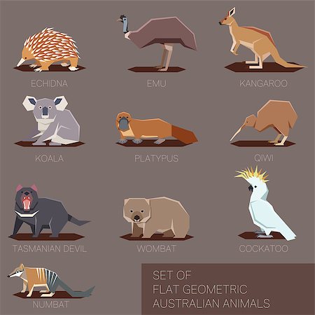 simsearch:400-08038286,k - Vector image of the flat geometric icons of species of Australia Stockbilder - Microstock & Abonnement, Bildnummer: 400-09136694