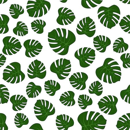 Seamless of green monstera leaves isolated on white background. Vector illustration Stock Photo - Budget Royalty-Free & Subscription, Code: 400-09136742