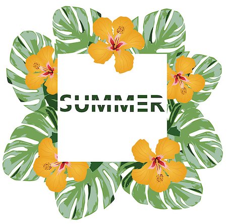 vector illustration of summer background with tropical leaves Photographie de stock - Aubaine LD & Abonnement, Code: 400-09137076