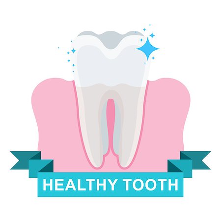 Healthy tooth and gum. Flat vector cartoon illustration. Objects isolated on white background. Stock Photo - Budget Royalty-Free & Subscription, Code: 400-09137190