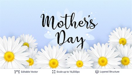 simsearch:400-09113728,k - Beautiful flowers and greeting text. Vector background. Photographie de stock - Aubaine LD & Abonnement, Code: 400-09137280