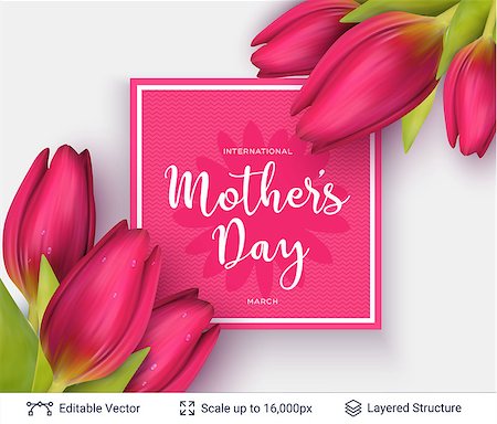 simsearch:400-09113728,k - Beautiful tulips and greeting text. Vector background. Photographie de stock - Aubaine LD & Abonnement, Code: 400-09137281