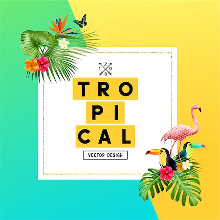 Colourful summer tropical border design with  palm leaves, toucan and flamingo birds and Hibiscus flowers. Vector illustration Stock Photo - Budget Royalty-Free & Subscription, Code: 400-09137595