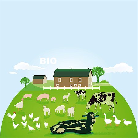 Organic farm with pasture Stock Photo - Budget Royalty-Free & Subscription, Code: 400-09137794