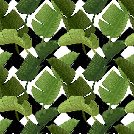 simsearch:400-07715470,k - Hand drawn vector seamless pattern with green banana palm leaves on the zig zag striped geometric black and white background. Summer tropical print. Stock Photo - Budget Royalty-Free & Subscription, Code: 400-09137909