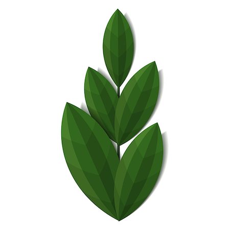 simsearch:400-09121794,k - Branch of green plant. Flat vector cartoon illustration. Objects isolated on white background. Stock Photo - Budget Royalty-Free & Subscription, Code: 400-09138092