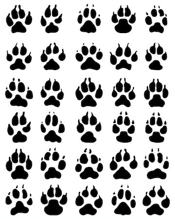 simsearch:400-04327046,k - Black print of paw of dogs on a white background Photographie de stock - Aubaine LD & Abonnement, Code: 400-09138125