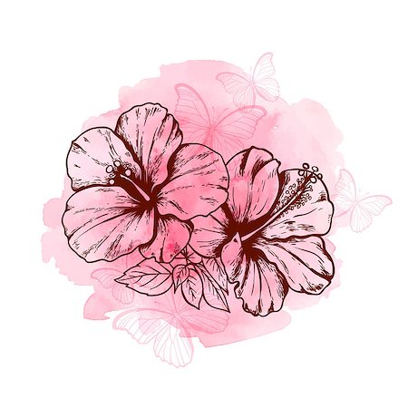 simsearch:400-09011216,k - Abstract floral background with hibiscus flowers, butterflies and pink watercolor texture Foto de stock - Super Valor sin royalties y Suscripción, Código: 400-09138556