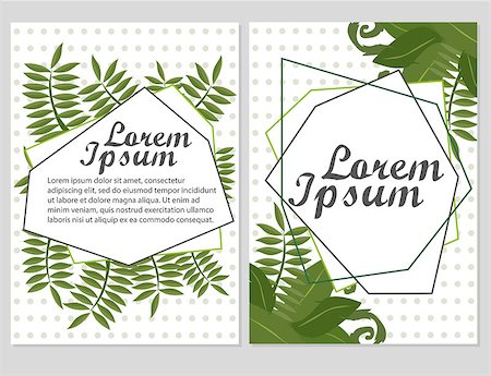 Set of Floral vector cards Design with green leaves - elegant greenery - Vector garden illustration, Invitation Stockbilder - Microstock & Abonnement, Bildnummer: 400-09133029