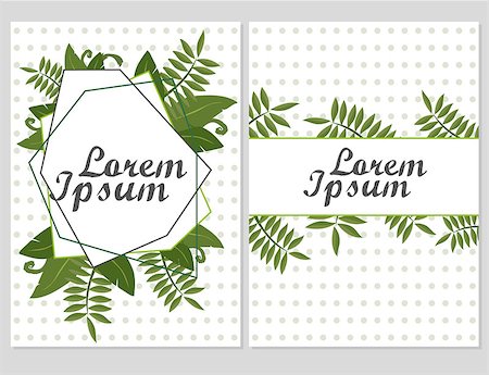 Set of Floral vector cards Design with green leaves - elegant greenery - Vector garden illustration, Invitation Stockbilder - Microstock & Abonnement, Bildnummer: 400-09133030