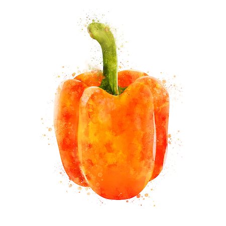 red pepper drawing - Isolated hand-painted illustration on a white background Stock Photo - Budget Royalty-Free & Subscription, Code: 400-09140497