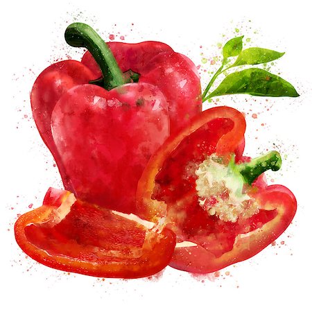 red pepper drawing - Isolated hand-painted illustration on a white background Stock Photo - Budget Royalty-Free & Subscription, Code: 400-09140508