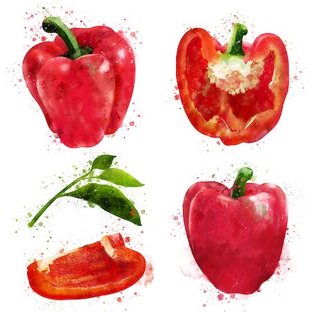 red pepper drawing - Isolated hand-painted illustration on a white background Stock Photo - Budget Royalty-Free & Subscription, Code: 400-09140509