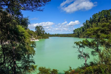 simsearch:400-04783233,k - green lake in Waiotapu geothermal area, Rotorua, New Zealand Stock Photo - Budget Royalty-Free & Subscription, Code: 400-09140673