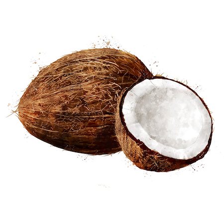 Coconut, isolated hand-painted illustration on a white background Foto de stock - Royalty-Free Super Valor e Assinatura, Número: 400-09140944