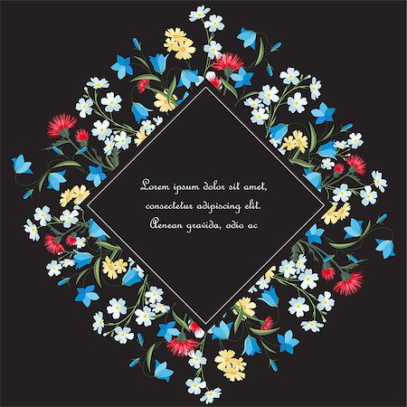 Vector illustration of colorful flowers. Frame floral decorations on a dark background. Foto de stock - Super Valor sin royalties y Suscripción, Código: 400-09141253