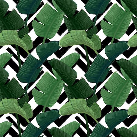 simsearch:400-07715470,k - Hand drawn vector seamless pattern with green banana palm leaves on the zig zag striped geometric black and white background. Summer tropical print. Stock Photo - Budget Royalty-Free & Subscription, Code: 400-09141550
