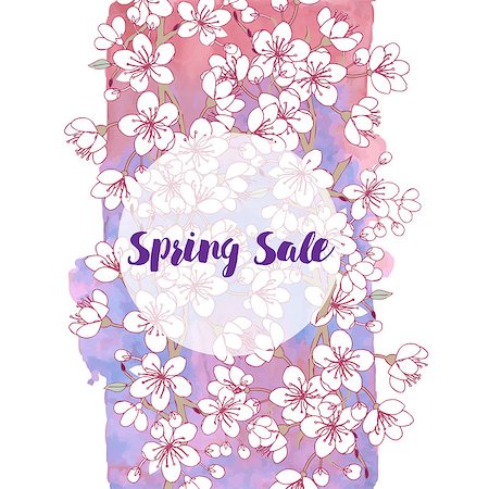 Spring sale background with cherry blossoms. Hand drawn sakura flowers. Vector illustration Stock Photo - Budget Royalty-Free & Subscription, Code: 400-09142227