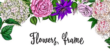 peony art - Vintage spring frame. Colorful blooming flowers. Rose, peony, clementis, phlox and eustoma. Botanical vector. Ready template for your design. Good for cards, invitations, web Stock Photo - Budget Royalty-Free & Subscription, Code: 400-09142316