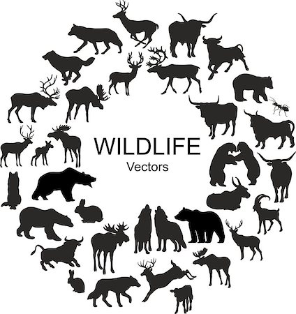 Collection of silhouettes of different species of wild animals. Vectors on white background Stock Photo - Budget Royalty-Free & Subscription, Code: 400-09142606
