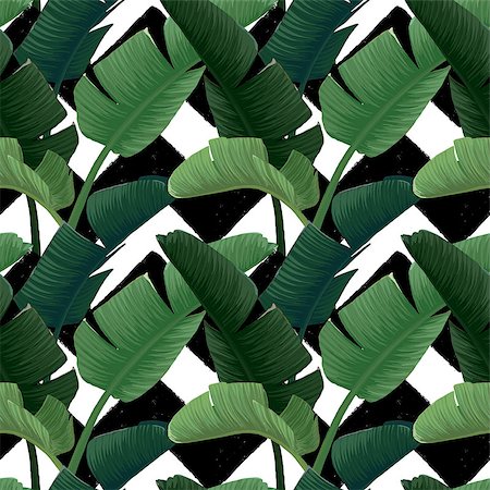 simsearch:400-07715470,k - Hand drawn vector seamless pattern with green banana palm leaves on the zig zag striped geometric black and white background. Summer tropical print. Stock Photo - Budget Royalty-Free & Subscription, Code: 400-09142676
