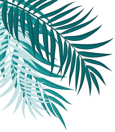 single coconut tree picture - Beautifil Palm Tree Leaf  Silhouette Background Vector Illustration EPS10 Stock Photo - Budget Royalty-Free & Subscription, Code: 400-09154456