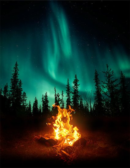 A warm and cosy campfire in the wilderness with forest trees silhouetted in the background and the stars and Northern Lights (Aurora Borealis) lighting up the night sky. Photo composite. Stock Photo - Royalty-Free, Artist: solarseven, Image code: 400-09154864