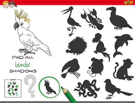 Cartoon Illustration of Finding All Birds Shadows Educational Activity for Children Stock Photo - Budget Royalty-Free & Subscription, Code: 400-09154946