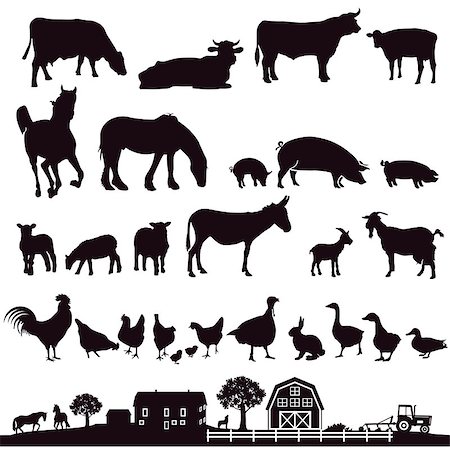 farm and cow illustration - Farm animals and farm, illustration Stock Photo - Budget Royalty-Free & Subscription, Code: 400-09152083