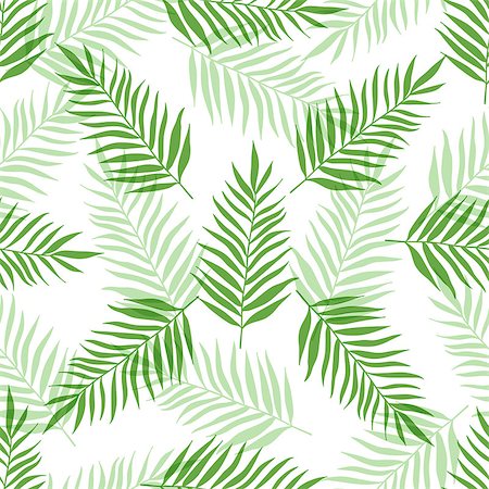 Decorative tropical seamless pattern with green palm leaves on a white background Stock Photo - Budget Royalty-Free & Subscription, Code: 400-09152311