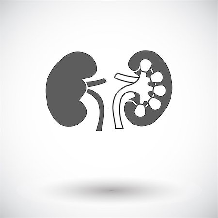 Human Kidney. Single flat icon on white background. Vector illustration. Stock Photo - Budget Royalty-Free & Subscription, Code: 400-09152509