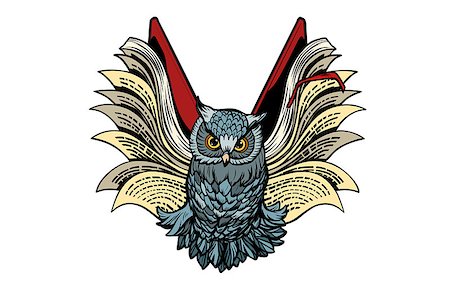 professor icon - owl book flies, isolate on white background. Comic book cartoon pop art retro illustration Stock Photo - Budget Royalty-Free & Subscription, Code: 400-09152710